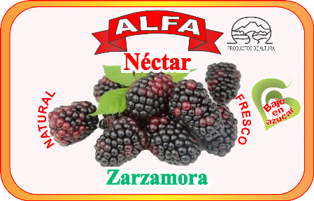 Nectar de Zarzamora