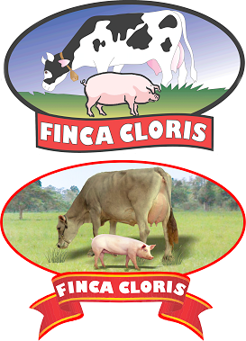 Finca Cloris - Etapas del Logo