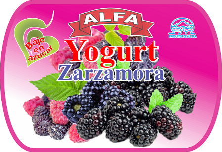 Yogurt de Zarzamora